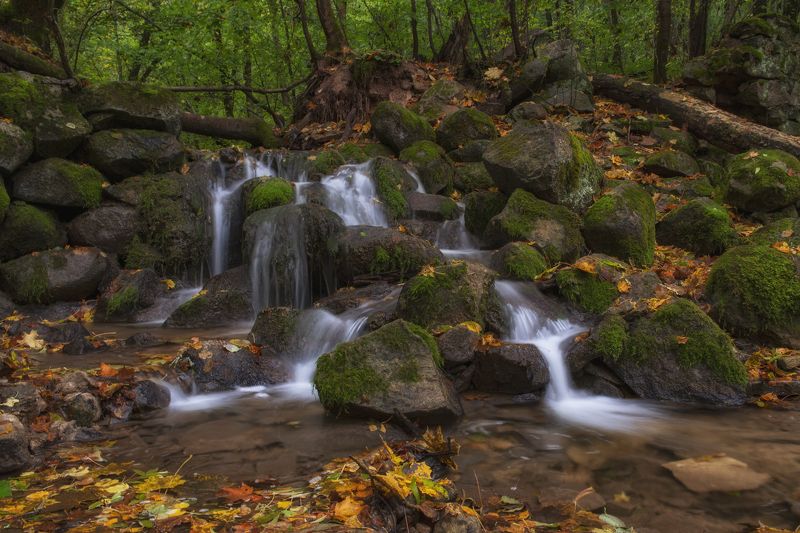 Мельничий ручейphoto preview