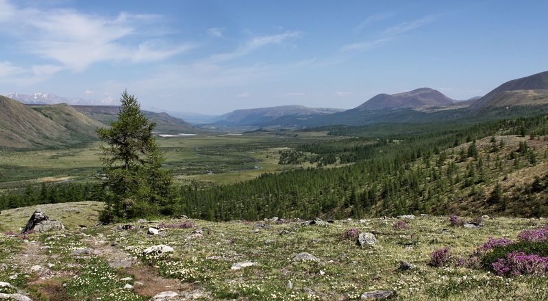 Взгяд, устремленный вдаль фото превью