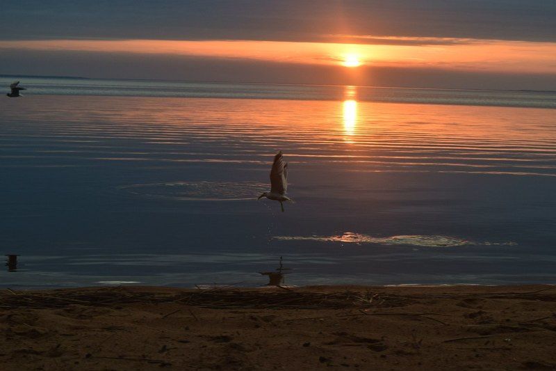 Диана, Russia