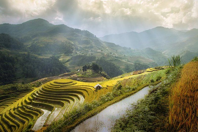 Mu Cang Chai, Vietnamphoto preview