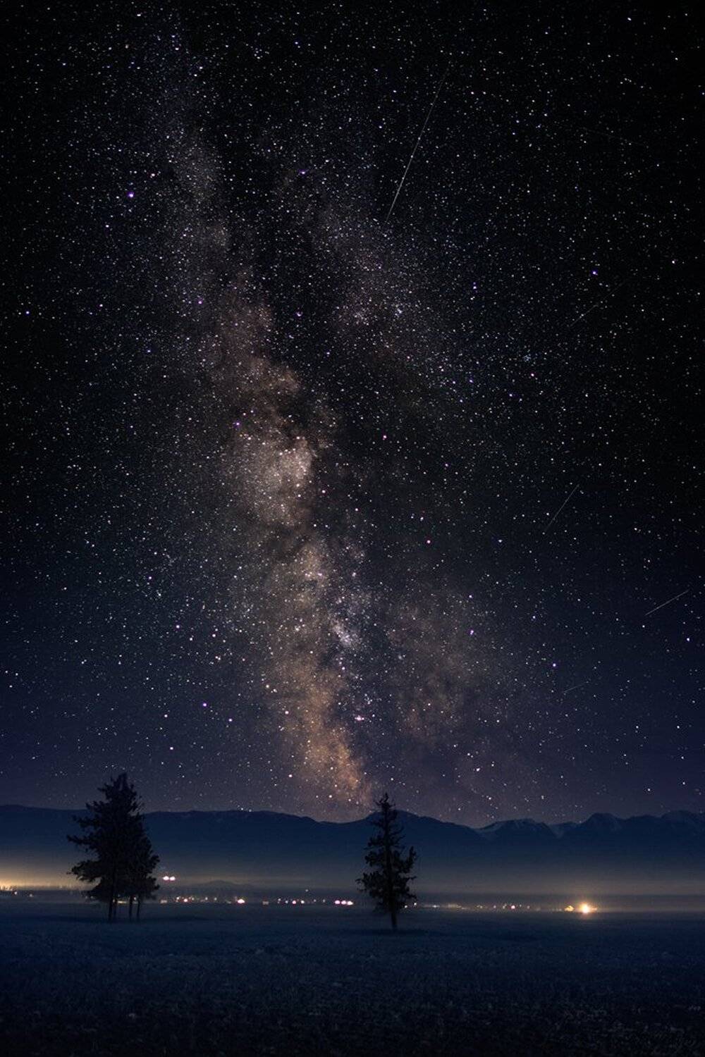 пейзаж, природа, горы, ночь, звезды, млечный, дерево, звездопад, метеоры, метеориты, алтай, сибирь, степь, Дмитрий Антипов