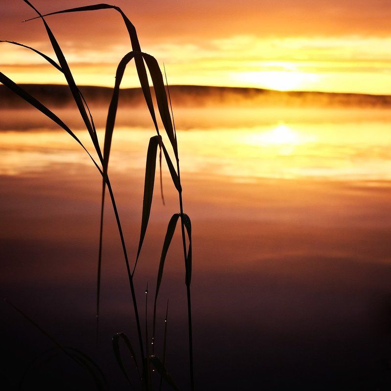 север кольский заполярье лапландия рассвет Рассвет на Пермус-озереphoto preview