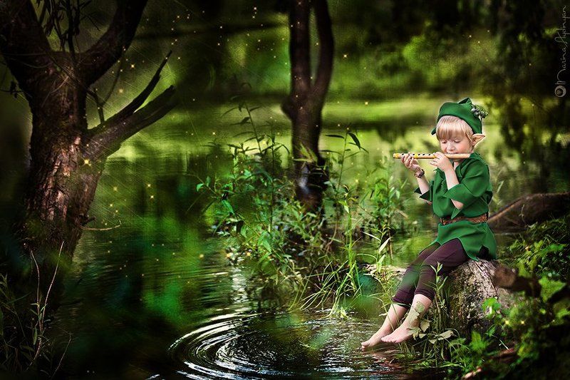 дети Эльфийская сказкаphoto preview