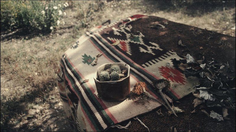 Осень, Природа Красота в деталяхphoto preview