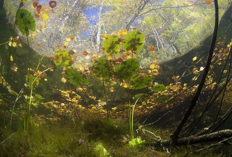 Осеньphoto preview