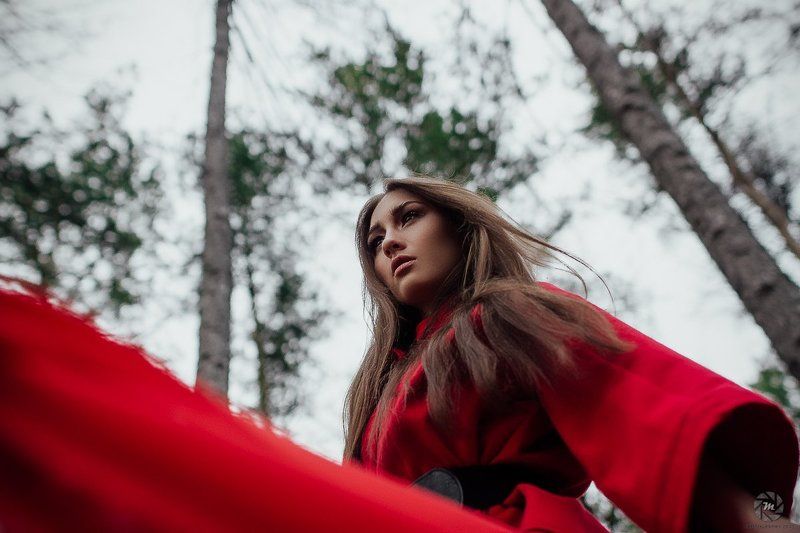 Fairy Talephoto preview