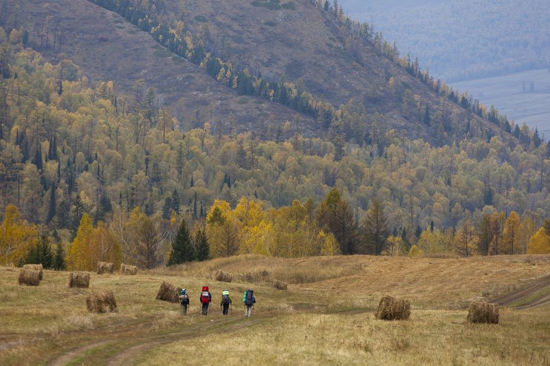 алтай, осень Возвращениеphoto preview