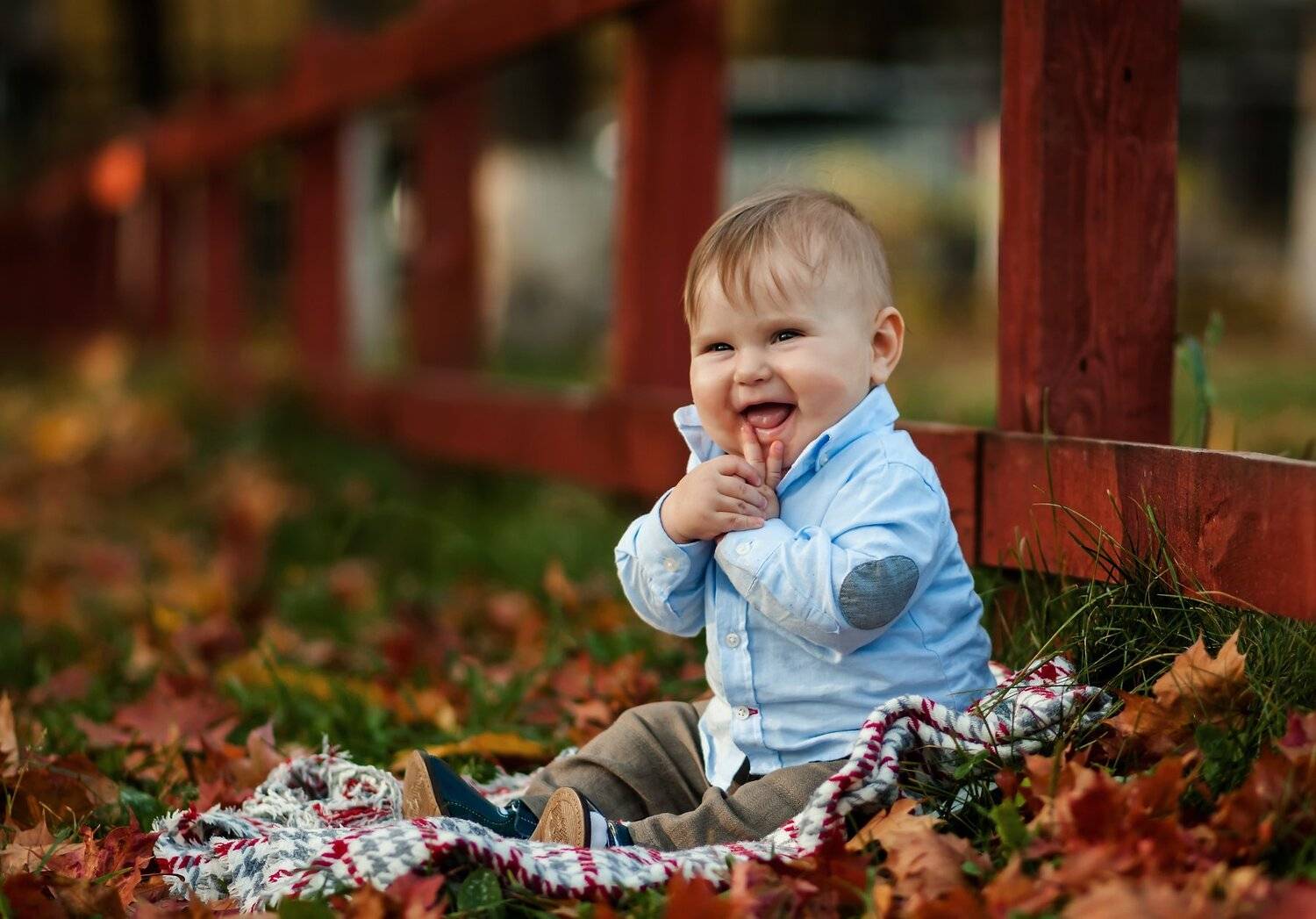 Бабье лето. Автор: Игорь , Игорь