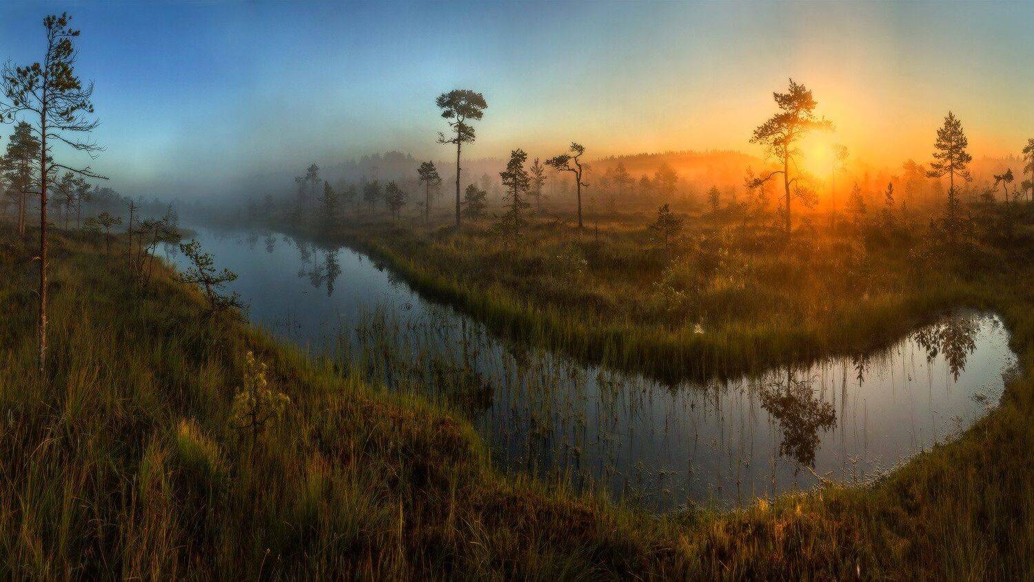 Болото, Озеро, Рассвет, Север, Сосны, Туман, Лашков Фёдор