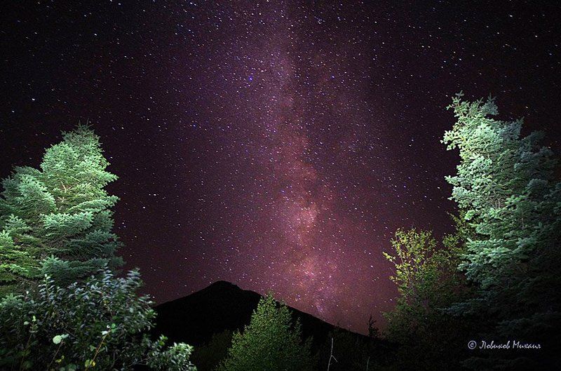 про пихты, горы и Млечный путьphoto preview