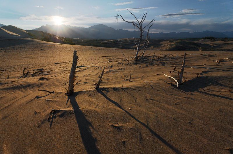 горы, забайкалье, песок, пустыня, чара, чарские пески В Чарских песках - часть первая.photo preview