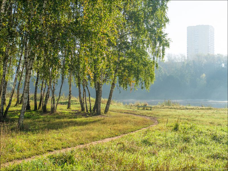 Балашиха, Березы, Город, Пейзаж, Подмосковье, Утро Россия. Балашиха. Ранняя осень.photo preview