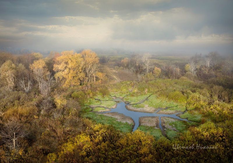туман, рассвет, осень *photo preview