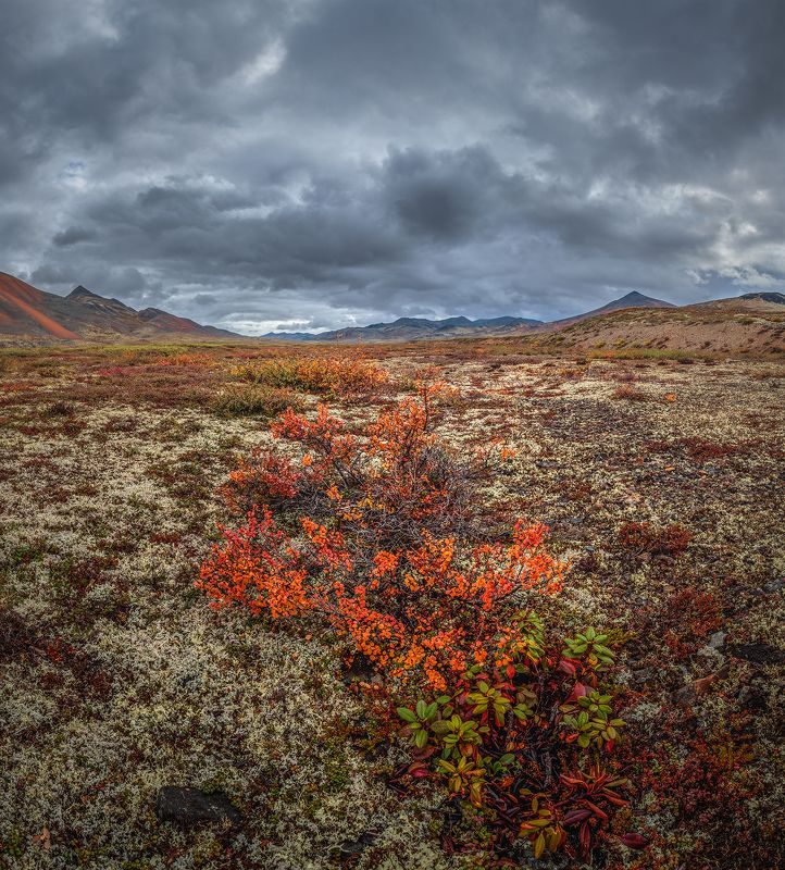 Чукотка 2023photo preview