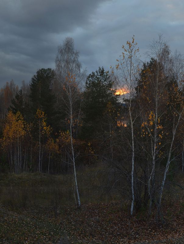 Сумерки. Октябрь фото превью