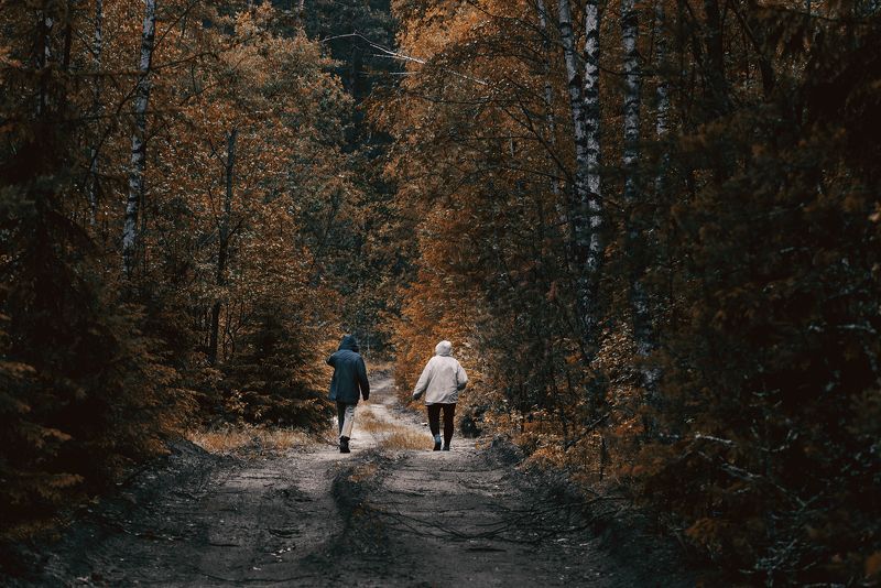 forest, road, way, man, people, dark, autumn, summer, atmosphere, лес, прогулка, дорога, лесная дорога, forest road, landscape, пейзаж Прогулка в лесуphoto preview