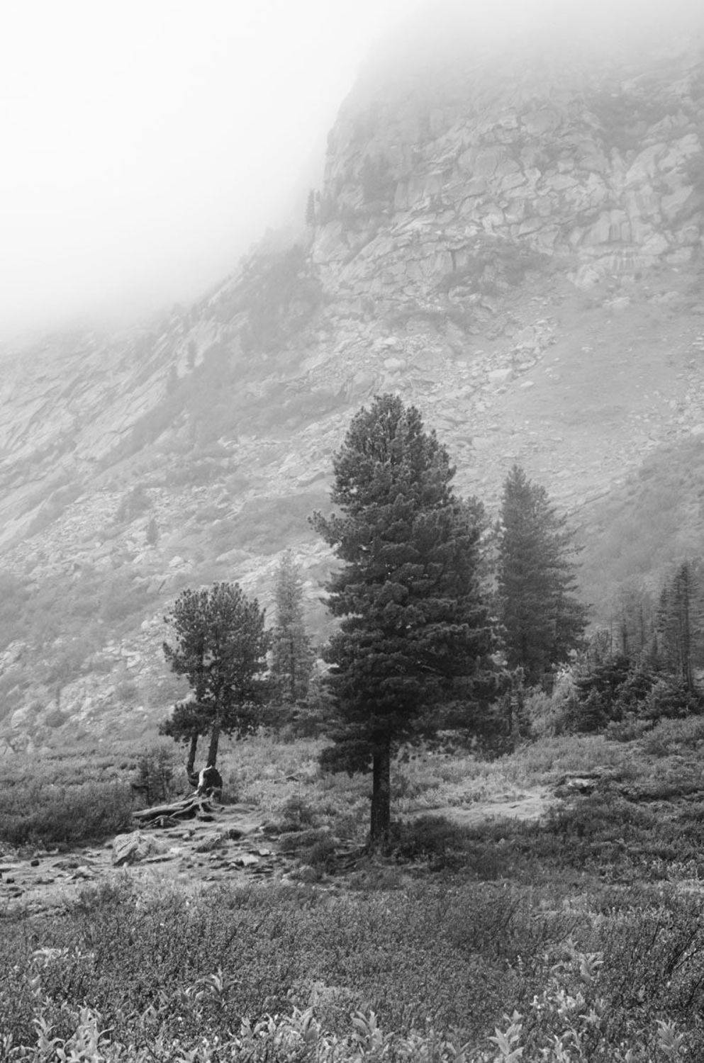 Автор: Савенко Кирилл , Савенко Кирилл