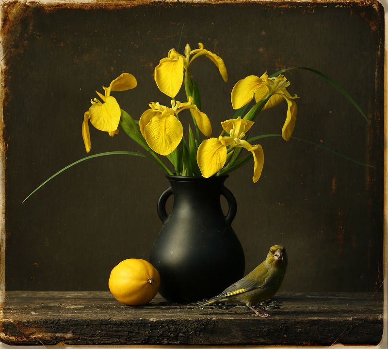 зеленушка Касатики 2photo preview