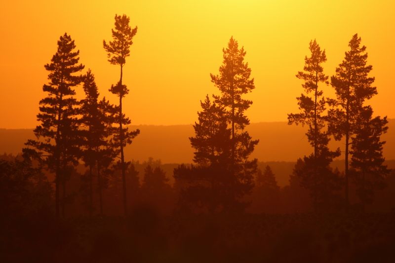 Рассветные далиphoto preview