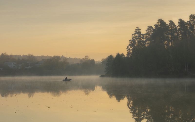 Золотое утроphoto preview