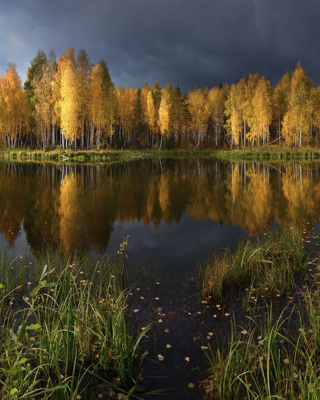 Немного солнца в пасмурный день фото превью