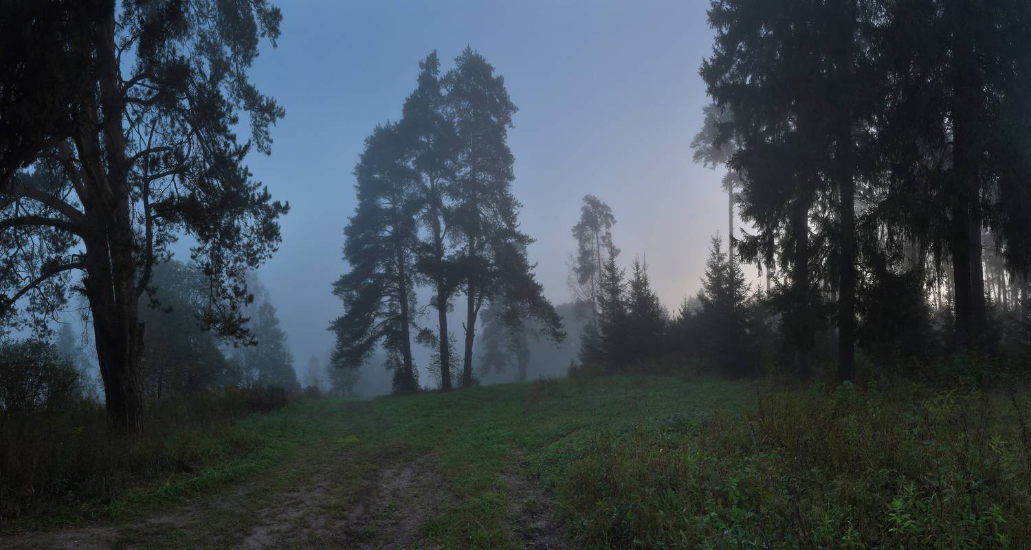 .... Автор: Макеев Алексей , Макеев Алексей