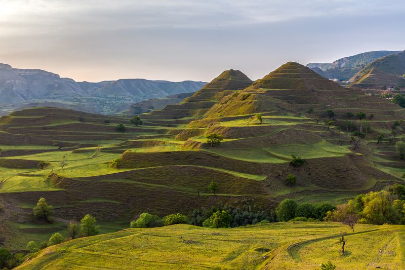 Кудалиphoto preview