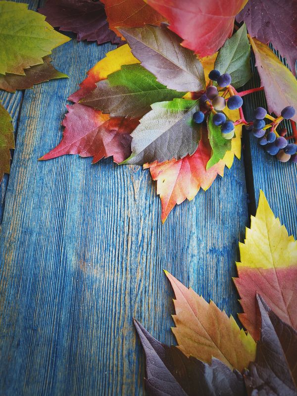 Осенее баловствоphoto preview