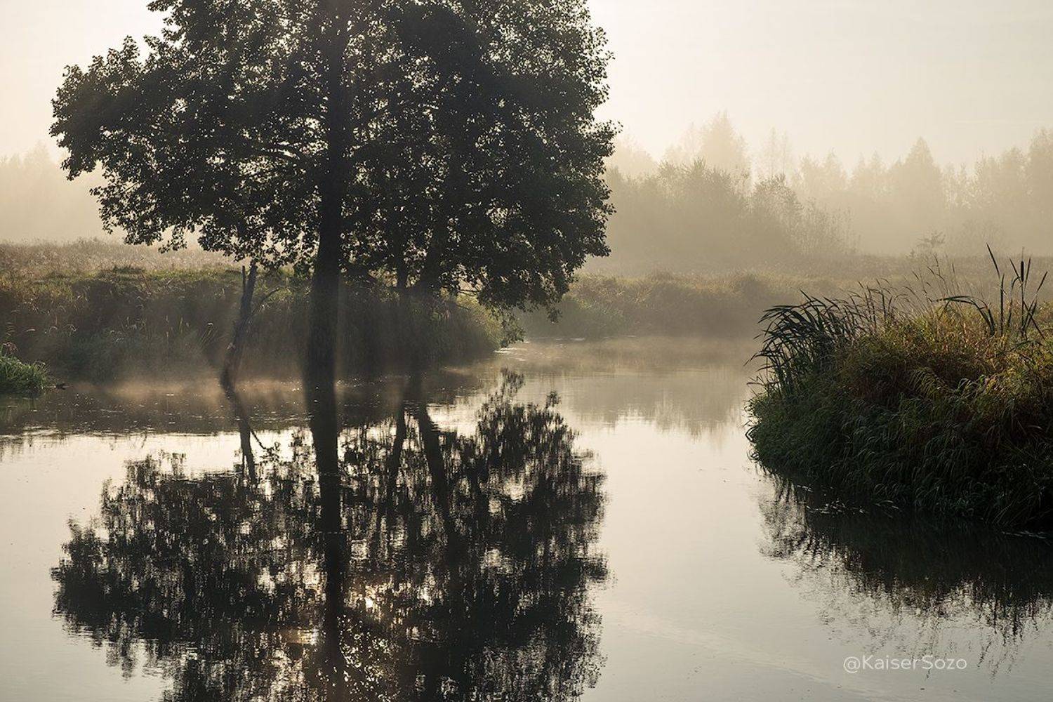 россия, владимирская область, шерна, филипповское, туман, отражение, лучи, Kaiser Sozo