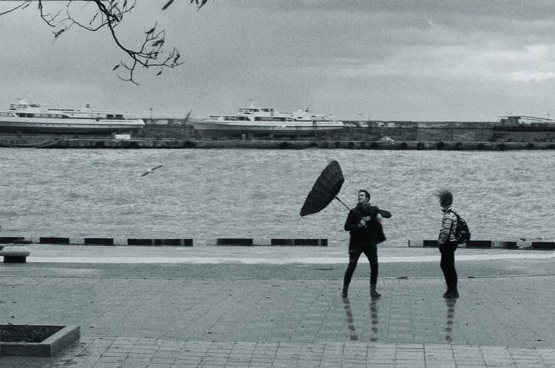 Ветерphoto preview