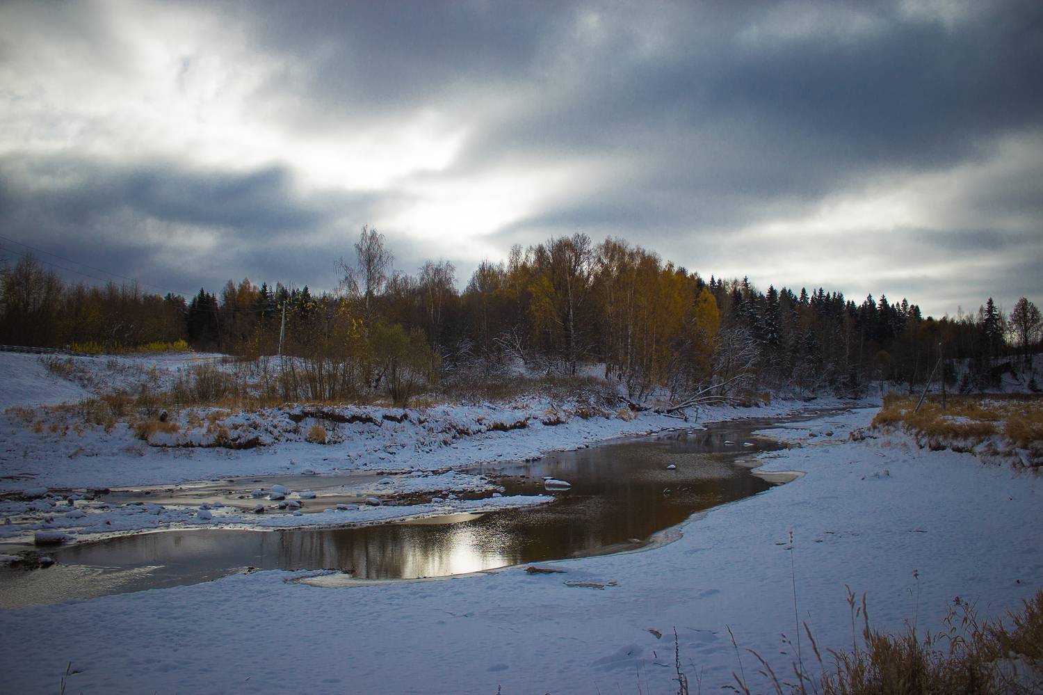 , Хвойнова Елена