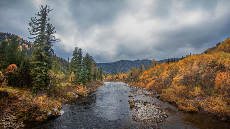 казыр, река, осень, пороги, лес, течение, пейзаж, природа, горы. Козырные места на Казыре. фото превью