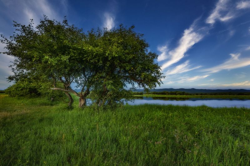 Мгновение ушедшего лета... фото превью