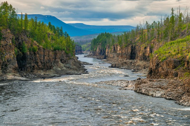 река курейка, каньон, плато путораны, скалы, пороги, лиственницы, владимир коваль Каньон Курейкиphoto preview