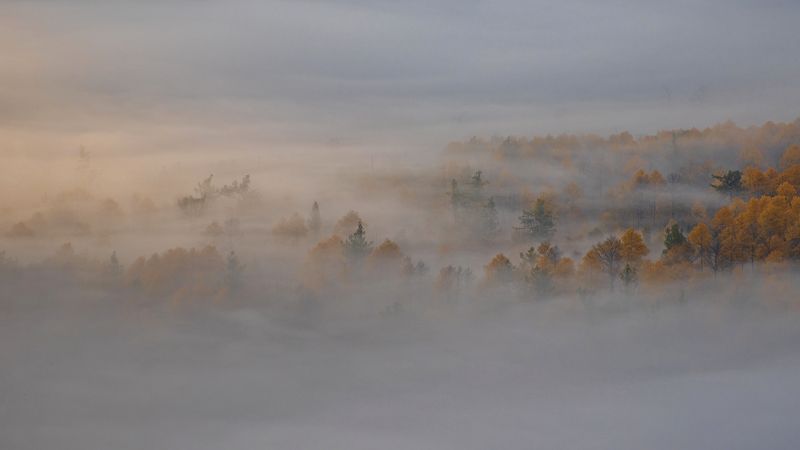 Магический ветерphoto preview