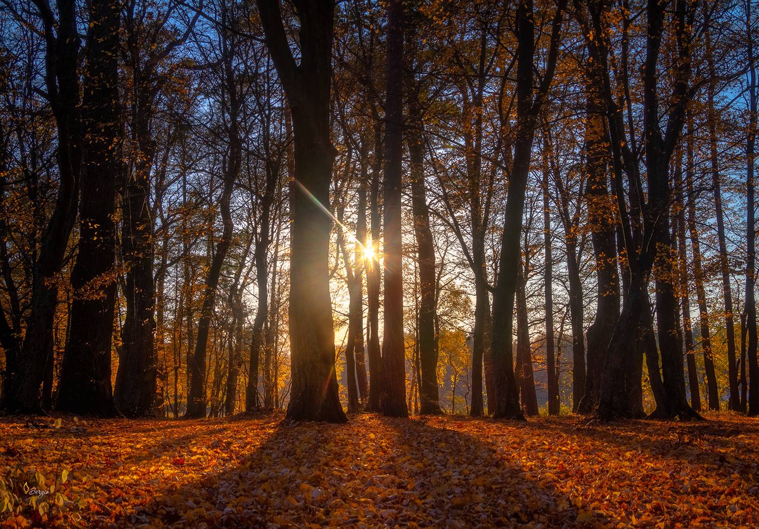 Беларусь, Серж Домбровский