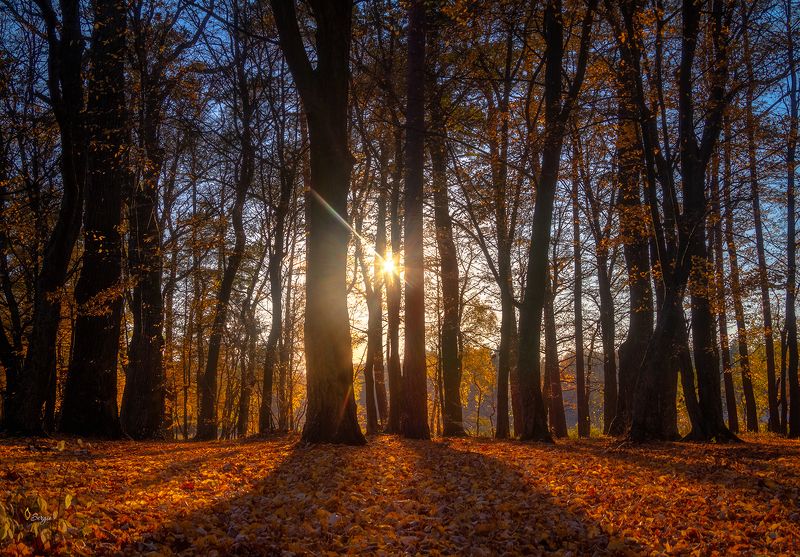 Беларусь Простоеphoto preview