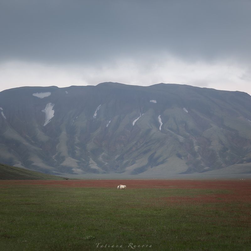 Исландский минимализмphoto preview