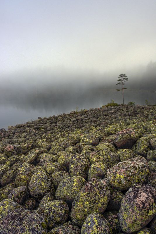 карелия Лоухиярвиphoto preview