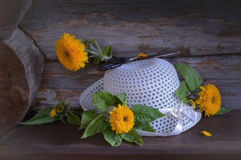 Исчезли солнечные дни ...photo preview