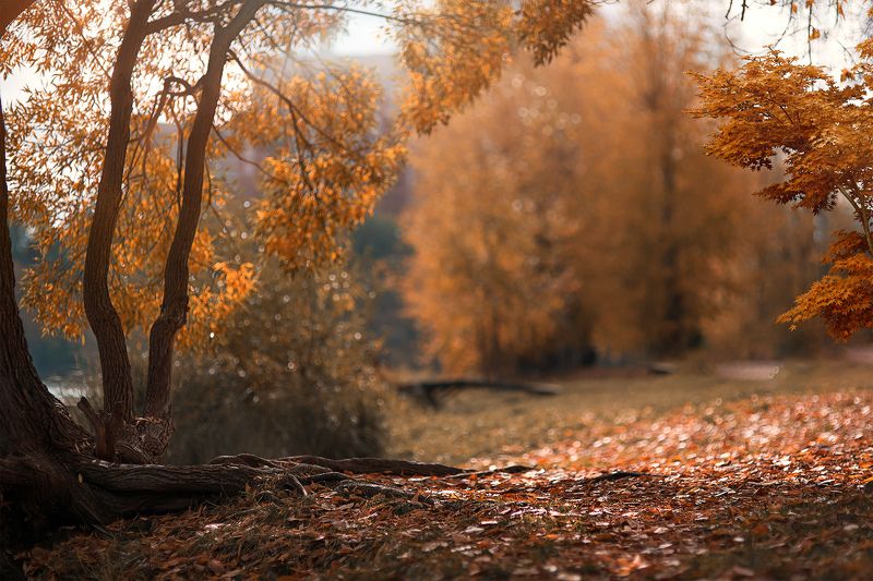 Осень...photo preview