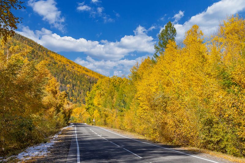 тункинская долина, саяны, бурятия, фототур Дорога в осень.photo preview
