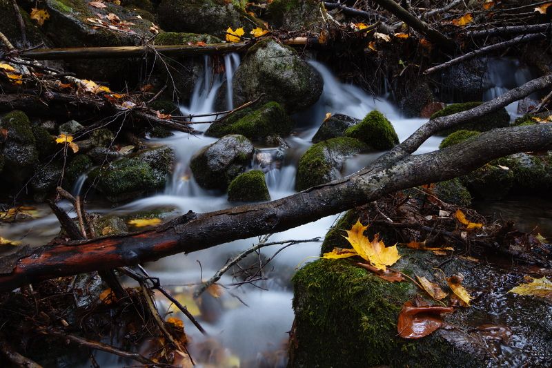 теберда, кчр,крачаево-черкесия , шумка,речка,лесная речка Река Шумка ... фото превью