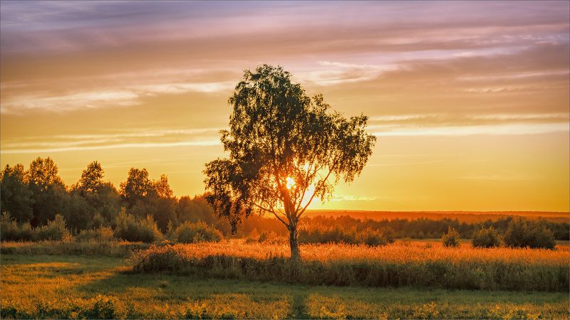 пейзаж, осень, вечер, деревня, свет, цвет, александр никитинский Осенний вечер...photo preview