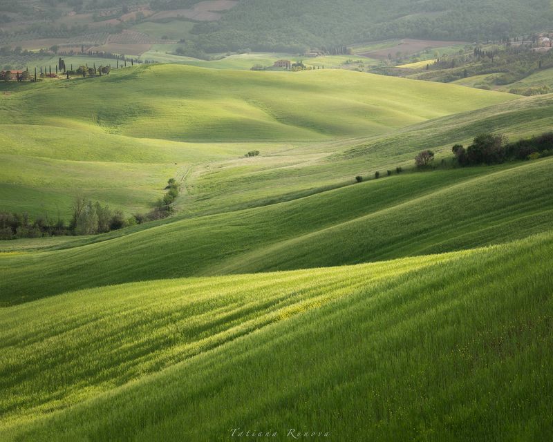 Бархат холмов Тосканыphoto preview