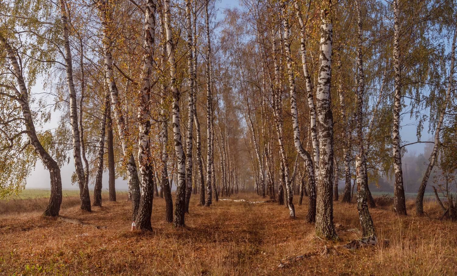 , Макеев Алексей