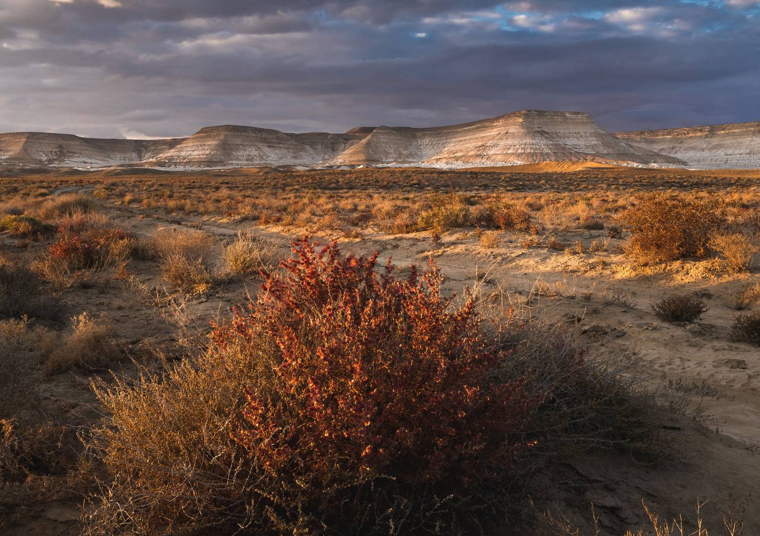 Тузбаир. Автор: Грамаков Юрий , Грамаков Юрий