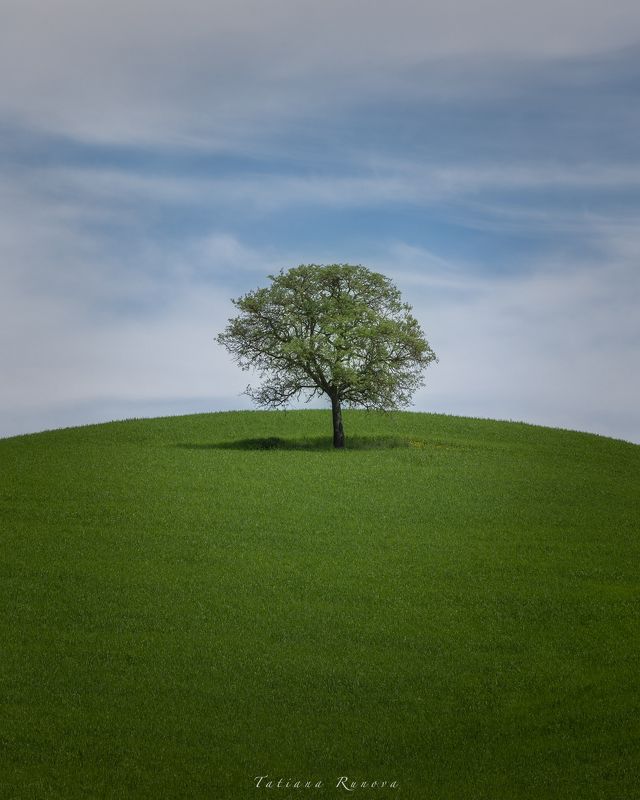 Классика Тосканыphoto preview