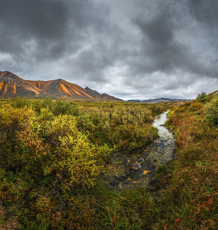 Чукотка 2023photo preview