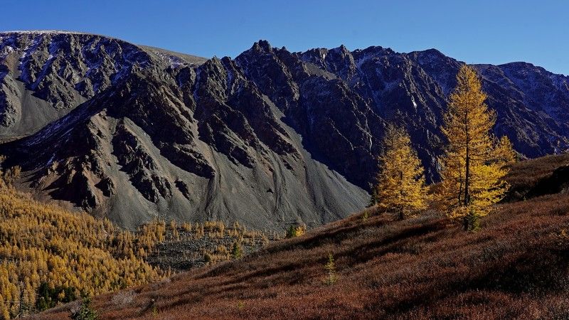 Алтай, Сибирь, Россия photo preview